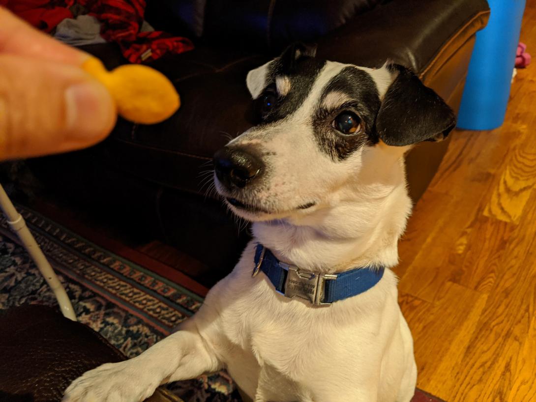 Petey
